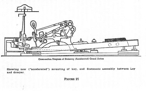 A Cross-Cut illustration of the Steinway Grand Piano Action