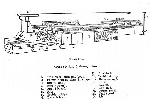 Cross-section of a Steinway Grand Piano
